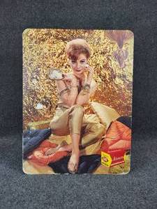 lot 1102 image: 1982 Ansco ANSCOCHROME Color Film Advertisement Board - Measures 17-34 W x 23-34 H x 38