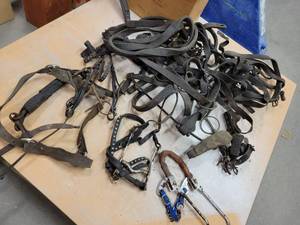Large Lot of Vintage Horse Bits, Leather Straps, Hames and More