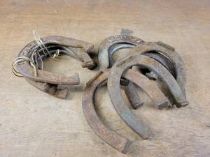 (10) Assorted Pitching Horseshoes
