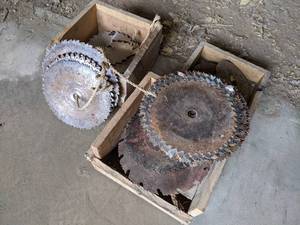 lot 100 image: Large Lot of Assorted Saw Blades - Sizes from 5 to 12
