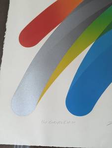 Framed Strokes Lithograph by Takashi Hara