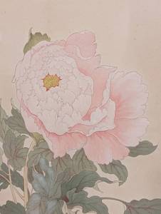 Framed Vintage Hibiscus Lotus Print