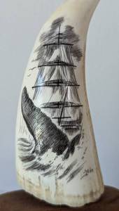 Scrimshaw Whales Tooth and Stand