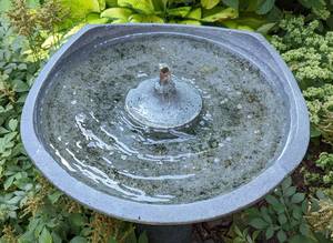 Lovely Garden Birdbath
