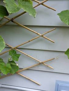 Bamboo Garden Trellis