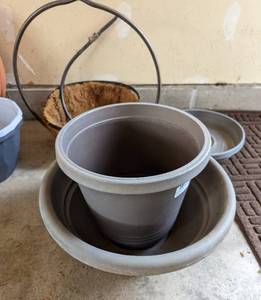 Assorted Planters