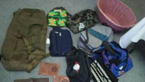 Bags, Purse, Insulated Cooler.