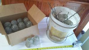 Vintage Glass Insulators.