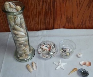 (2) Glass Vases Of Seashells
