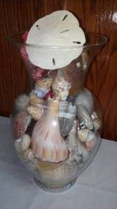 Seashells In A Vase