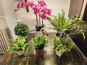 Artificial Plants