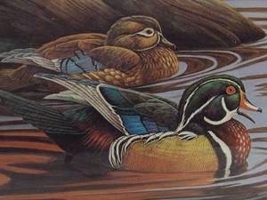 lot 26 image: VINTAGE 1986 THE OLD SNAG-WOOD DUCKS By Charles Pearson (signed) - Published in 1986 by Jacob Schmidt Brewing Co. St. Paul Minn.- GREAT COLLECTORS PIECE - APPROX 23 By 19 - SEE PICTURES