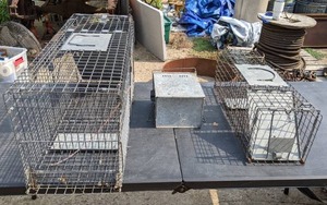 lot 43 image: (3) Animal Traps (Small, Medium and Large)