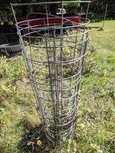 lot 319 image: (7) Wire Tomato Cages