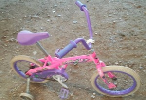 lot 392 image: Murray Bitty Kitty 12 in. Bike with Training Wheels