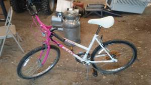 lot 393 image: Magna 24 in. 10 Speed Girls Bike.