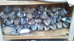 lot 427 image: (36) Bluebill Decoys