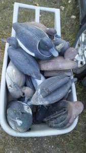 lot 429 image: Bluebills Decoys.