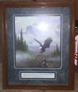 lot 434 image: Framed Eagle Picture.