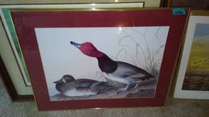 lot 438 image: Framed Duck Print.