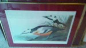 lot 439 image: Western Duck Framed Print.