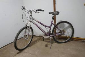 lot 3 image: Girls Schwinn bike