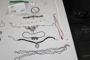 (7) Necklaces, (3 pair) Earrings and (2) Bracelets