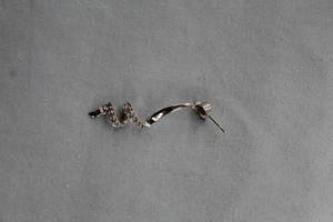 Womens 11 Round Commercial Diamonds 10K White Gold Single Earring