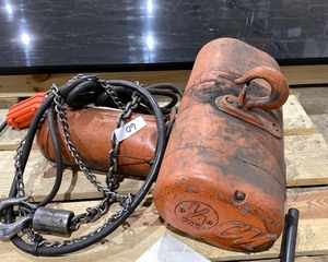 lot 60 image: Lodestar Electric Hoist