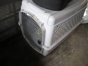 XL Plastic Dog KennelCrate measure...