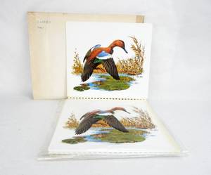 lot 54 image: Lot of 8 Vintage Fred Sweney Cinnamon Teal Duck Formcraft Vacuum Form Prints