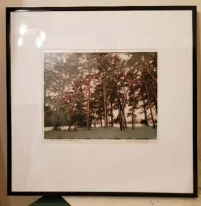 Signed Art By Cheryl Walsh B.