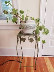 Plant & Stand
