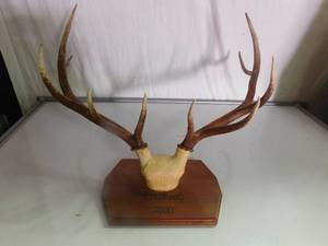 Elk horn mount
