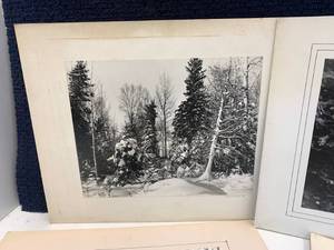 lot 312 image: 15 Photographic Prints