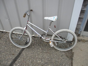 lot 133 image: Gary Fisher 20 Bike