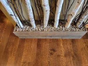 Tall Birch Branch Decorative Display