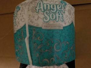 Case of 80 - 2 Ply Angel Soft indi...