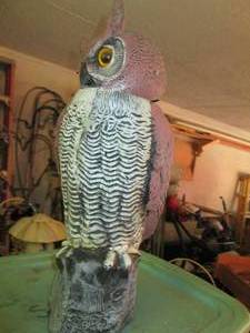 lot 99 image: Plastic owl with rotating head...