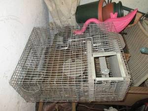 lot 105 image: Home made live trap...