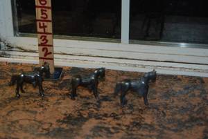 lot 411 image: Horses