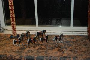 lot 413 image: Horses