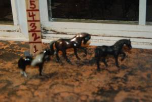 lot 416 image: Horses