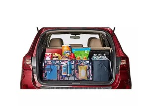 lot 768 image: Members Mark Insulated Trunk Organizer and 30-Can Cooler - PinkBlue Floral