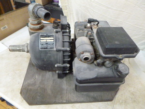 Pacer Pumps