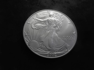 2002 Silver Eagle 1-Oz 99.9 Fine