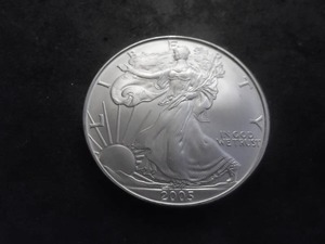 2005 Silver Eagle 1-Oz 99.9 Fine