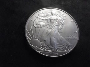 2009 Silver Eagle Dollar 1 Oz. 99.9 Fine Silver