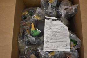 Duck Decoys