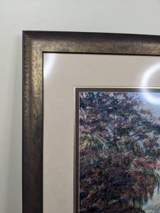 lot 42A image: Susan T. Amidon Print- Como Park Conservatory D